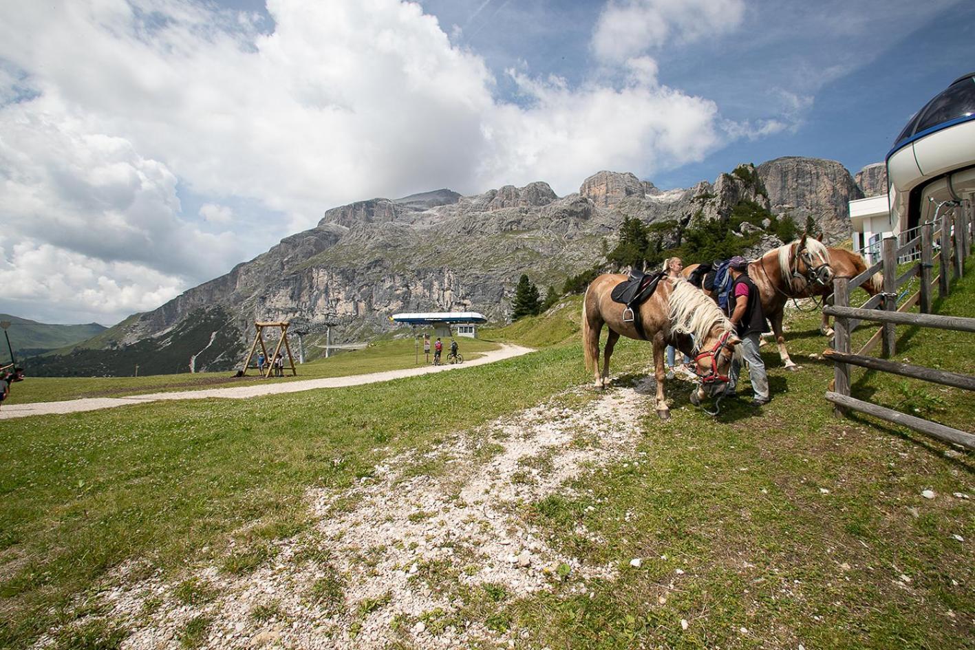 Hotel Alpenrose Arabba Eksteriør bilde